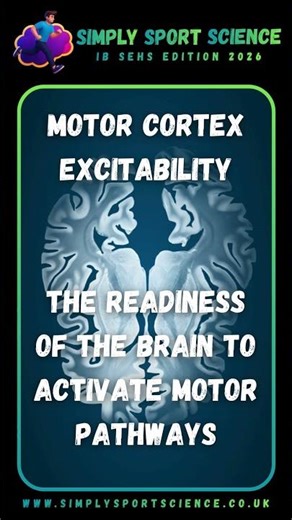 #SportsScience: IB Edition - What is Motor Cortex Excitability?