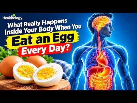 What Really Happens Inside Your Body When You Eat an Egg Every Day? 🥚 | Healthology