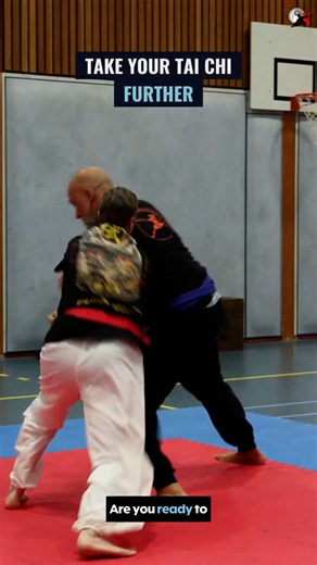 ☯️ United by Tai Chi – Apeldoorn Championship 2027! ��