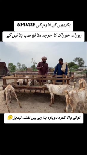 Daily Costs and Updates on the Goat Farm