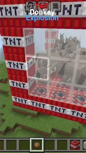 #minecraft TNT donkey explosion