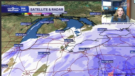 Snow continues across Metro Detroit, January 25 | WXYZ-TV Channel 7