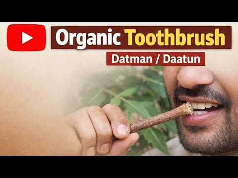 ORGANIC TOOTHBRUSH (दातुन) | Healthy kaya
