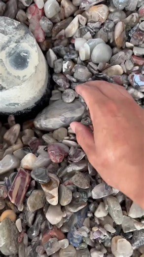 10 Surprising Facts You Didn't Know