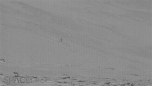 Mars Perseverance rover watches Ingenuity helicopter zoom above red planet in real time