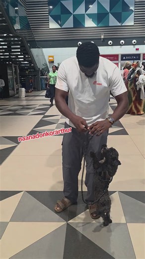 Naana Donkor Arthur: Latest Updates and Memes