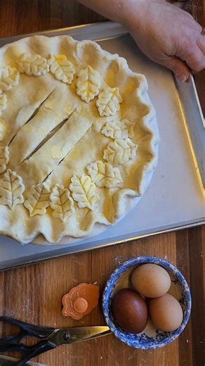 Homemade Apple Pie just like grandma used to make (recipe in comments) | A Farmgirl's Kitchen