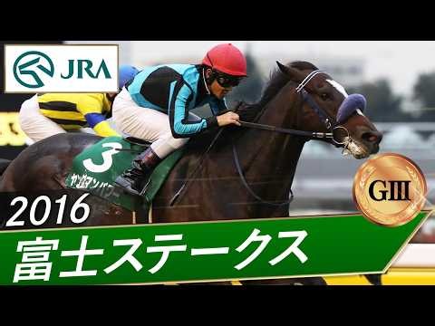 2016年 富士ステークス（GⅢ） | ヤングマンパワー | JRA公式