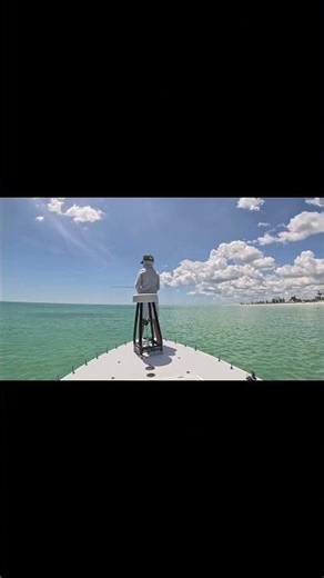 Permit on the Fly #dothingsyoudontwanttodo #flyfishing #helpmemakethismakesense #fishing