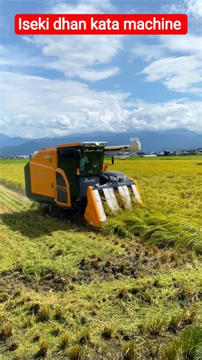 Iseki dhan kata machine 💥 #shorts #kheti #harvestingmachine