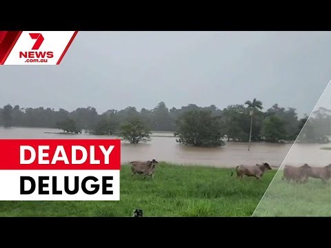 Deadly floods claim life in outback Queensland | 7NEWS