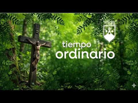 Santa Misa del DOMINGO 25 de octubre de 2026.