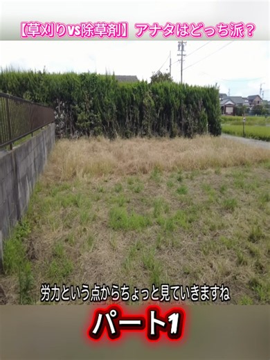 【草刈りVS除草剤】ハンマーナイフモアで草刈り！どっちが正解？P.1
