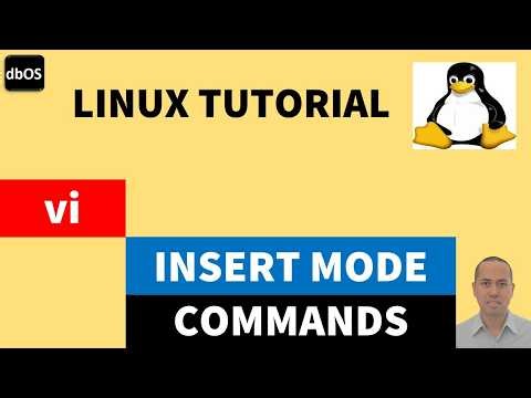 vi insert mode commands