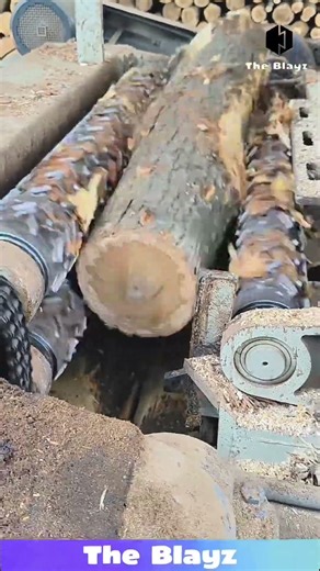 Machine Removes Bark from Wood Logs Fast | Satisfying Wood Processing