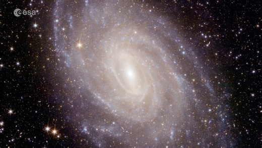 Euclid dark universe detector delivers 'spectacular views of the cosmos'