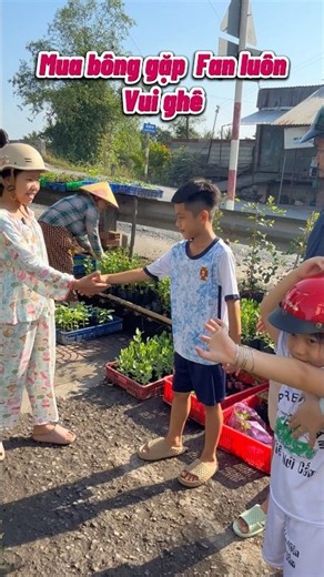 What flowers to plant for Tet? / Ky Ky TV & Family #shortvideo