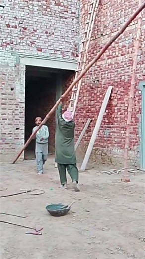 Bamboo Support Setup for Roof | Wall Support Preparation #Shorts | M Abubakar Saeed 99