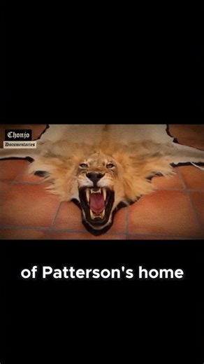 From Bloodied Pelts to Museum Treasures - The Fate of the Man Eaters