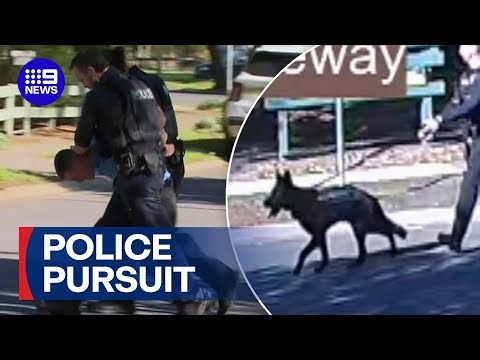Man arrested after wild chase through suburbs | 9 News Australia
