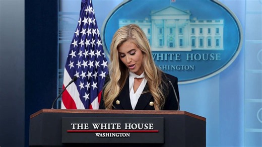 White House backs up new press secretary after 'numbskull' complaint