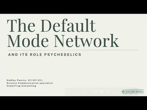 The Default Mode Network and Its Role in Psychedelics