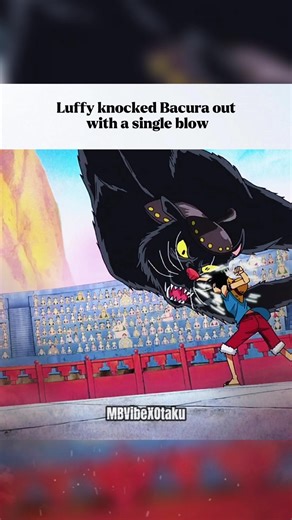 One Punch Was All Luffy Needed to Drop Bacura #shorts #anime