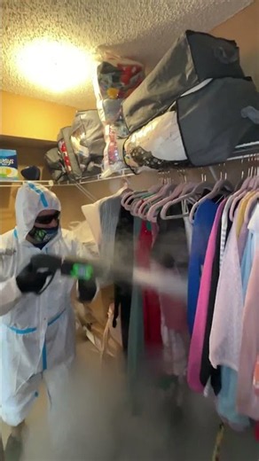 South Florida’s top-rated mold prevention and mold remediation company