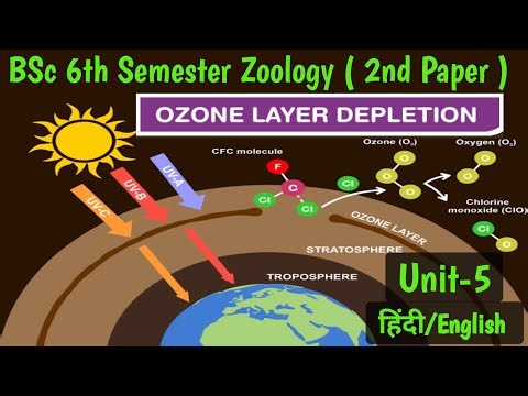 BSc 6th Semester Zoology 2nd Paper Unit 4//Ozone layer destruction in Hindi//Ozone Layer Destruction