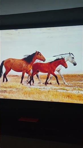 EPSON EH-TW750 ANSI 3400 LUMENS 3LCD 1080P CINEMA PROJECTOR AVAILABLE BHOPAL CALL ME 8602789262