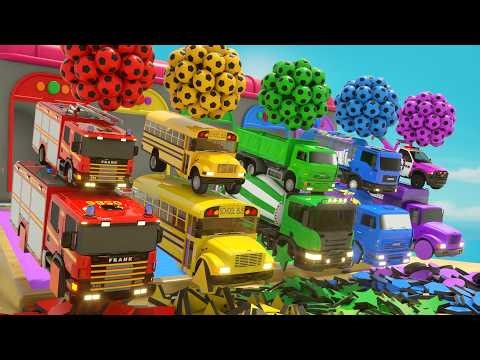 Logic for kids! We study Shapes, Colors, and Sing Super Songs - Nursery Rhymes & Kids Songs