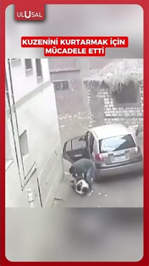 Kuzeninin, babası tarafından kaçırılmasını engellemeye çalışan çocuğun mücadelesi #shrots