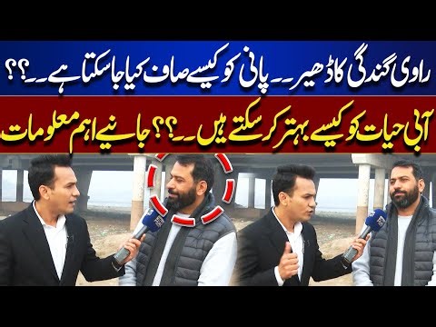 Can River Ravi Water Be Cleaned? | Solutions for Pollution & Aquatic Life Revival | Lahore Nama