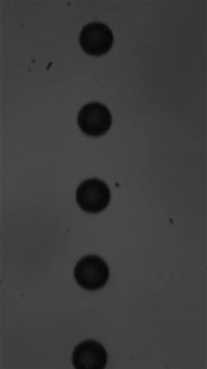 Conference contributions 19.8 [ILASS Europe 2025, Lund, Sweden]