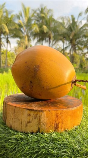 Masha Allah- Perfect Coconut Cut #coconut