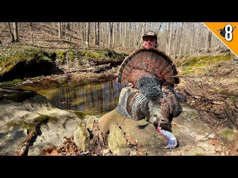 A Turkey Hunt I'll Never Forget!!! - (Miles's First Public Land Bird)