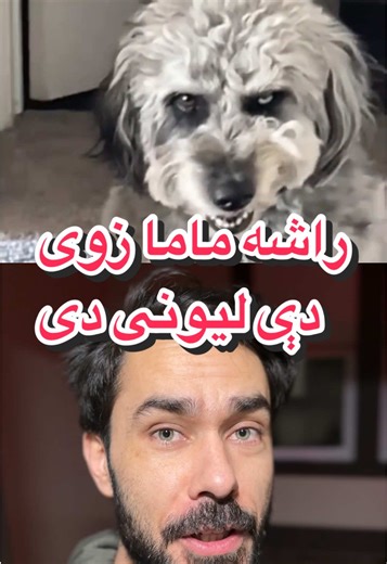 Ribes Virus Symptoms in Third World Countries