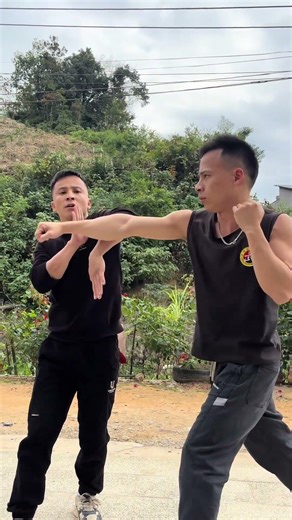 61. Wing Chun Bong Sau #Wing Chun Translation into English: 61. Wing Chun Bong Sau #Wing Chun
