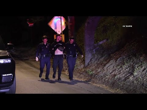 Trespasser arrested at home of 'Suite Life of Zack & Cody' actor Dylan Sprouse: reports