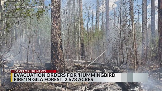 Hummingbird Fire burns inside Gila National Forest; evacuations ordered on Saturday
