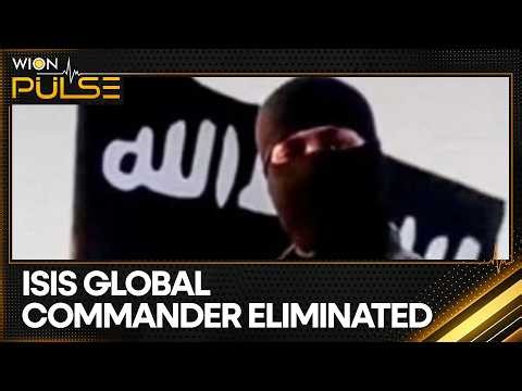 ISIS Global Operations Chief Killed By US & Nigerian Forces | WION Pulse