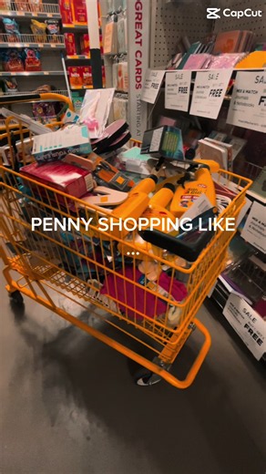 It’s a rush I tell ya… 🤭 #pennyshoppingatdollargeneral #pennyshoppingatdollartree #pennyshopper #pennyshopping