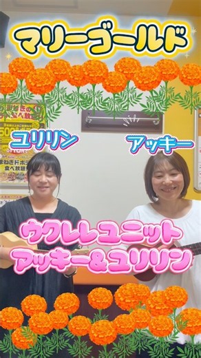 『マリーゴールド』あいみょん#ウクレレ #ukulele #ウクレレ弾き語り #弾き語り #ウクレレユニット#あいみょん #マリーゴールド#shorts