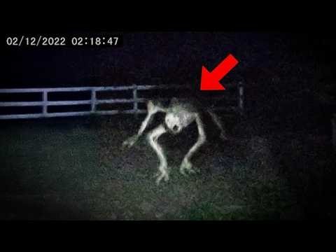 Scariest Skinwalker Encounter Stories Ever Reported