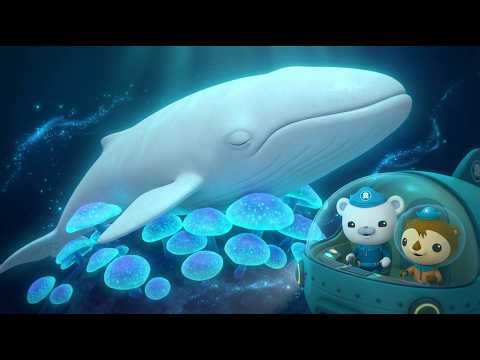 OCTONAUTS: Mission to the Healing Coral! 🍄🐋