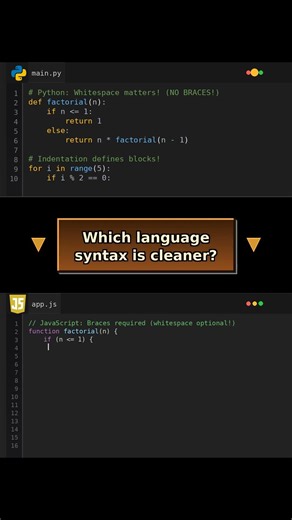 Indentation vs Braces: THE HOLY WAR of Programming! #holywar
