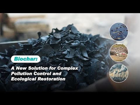 Biochar: A New Solution for Complex Pollution Control and Ecological Restoration‪@BESTON_GROUP‬