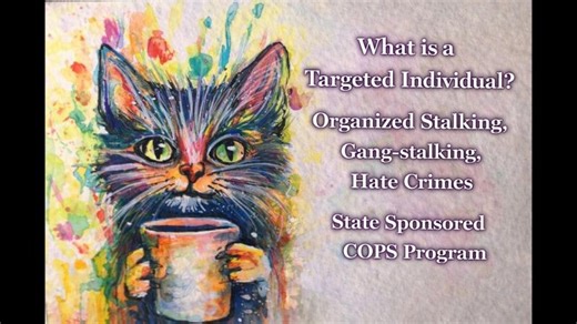 What is a Targeted Individual? Organized Stalking, Gangstalking, Hate Crimes, COPS Program | John Robertson