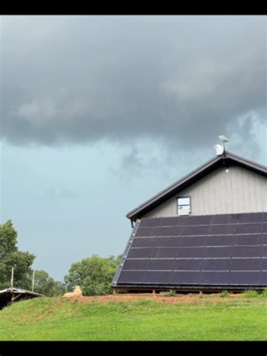 Racing the Storm Home: Who Won? Off-Grid Narroway Homestead