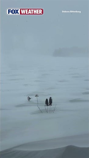 An Intense Blizzard Blasts The Great Lakes Region Impacting Residents In Milakokia Lake, Michigan